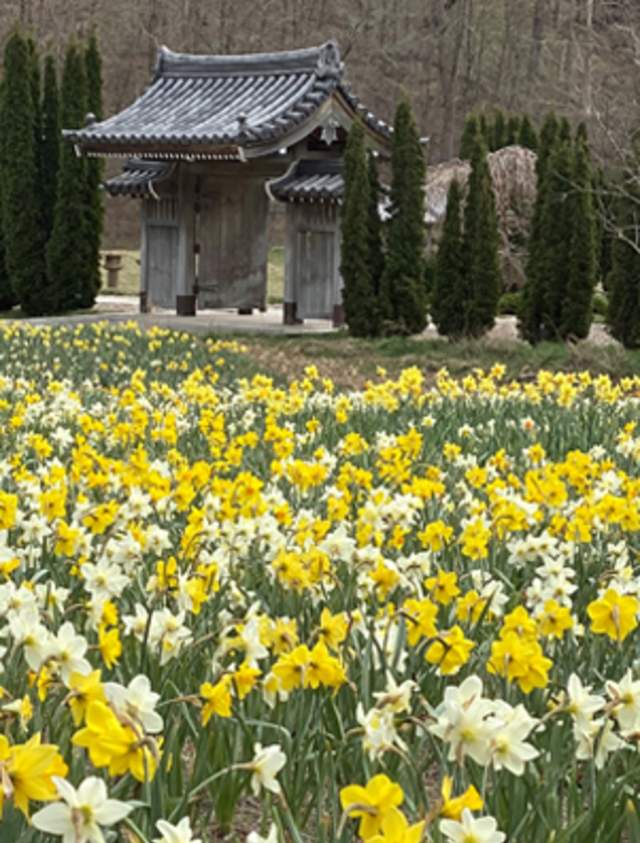 Lauritzen Gardens
