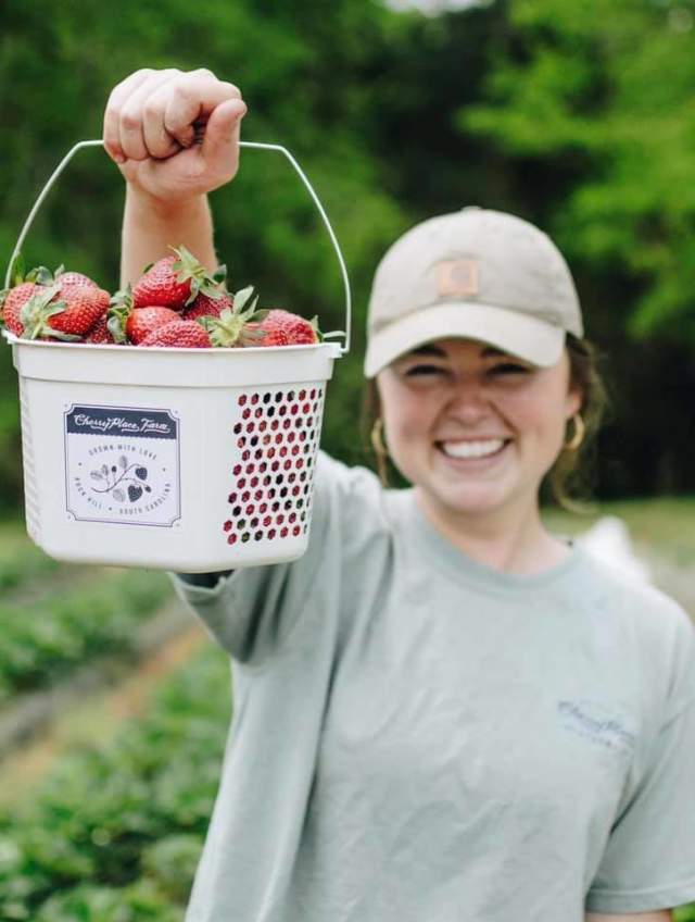 Pick Your Own Strawberries at These York County Farms