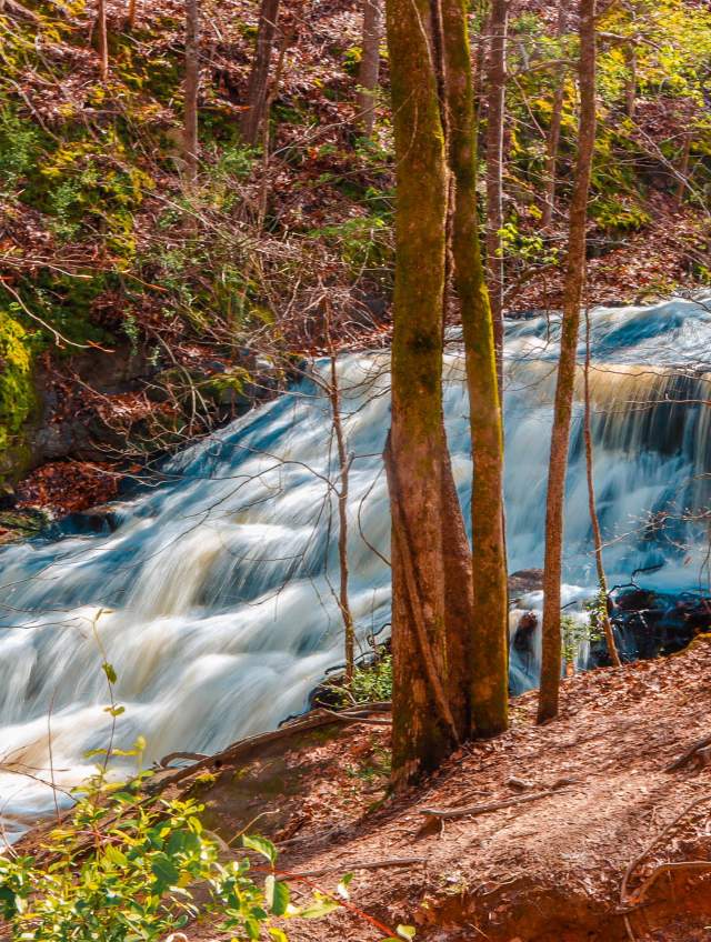 Fall in Love with these Fall Date Ideas in York County