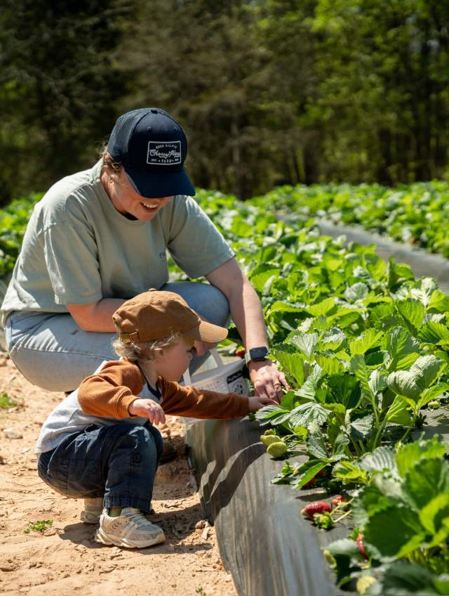 Spring Returns to the Farm: Agritourism Season Kicks Off Across York County