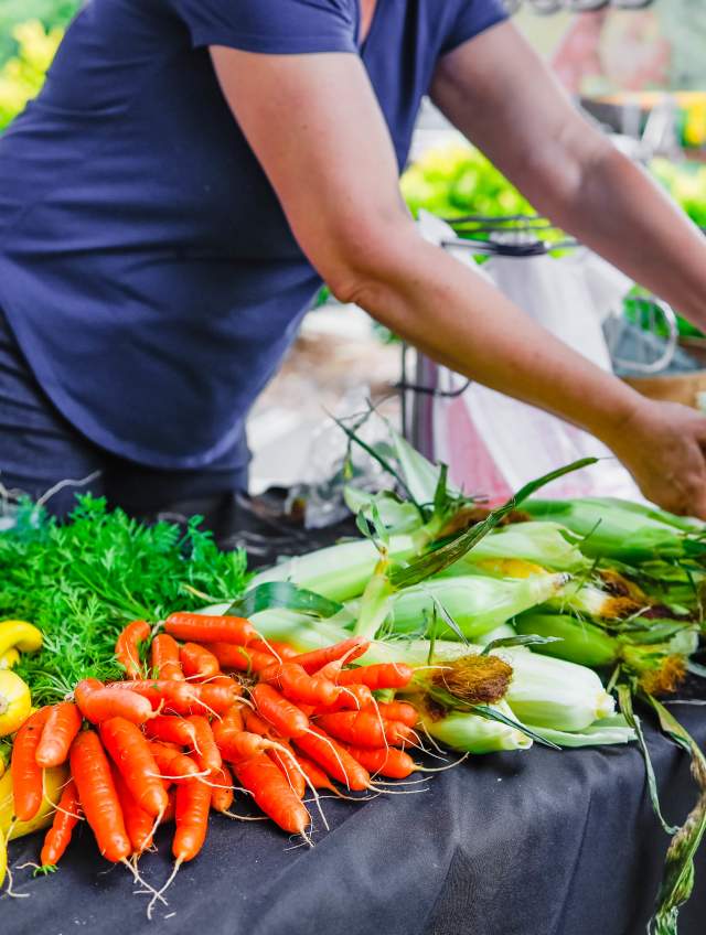 What’s Blooming, Brewing, and Buzzing: Your Late Summer Guide to York County Agritourism