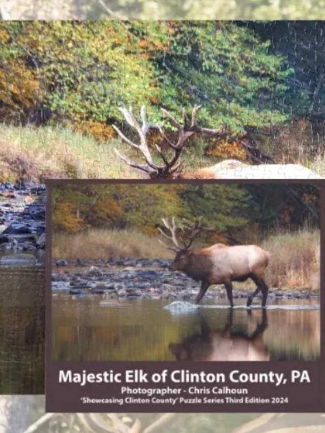 Elk Full Puzzle background