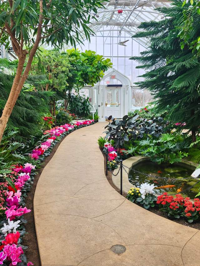 conservatory header