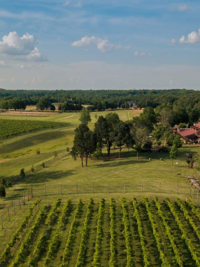 The Winery at Bull Run