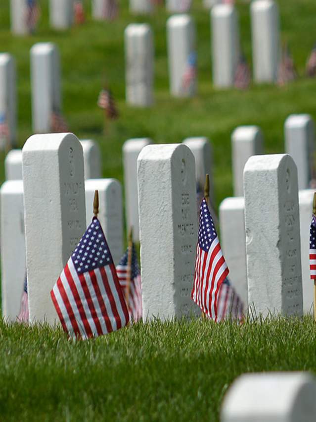 Veterans day png