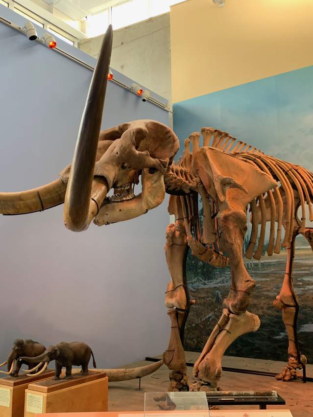 museum of the earth exhibit