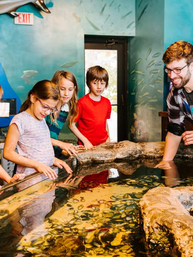 kids at indoor sea touchtank