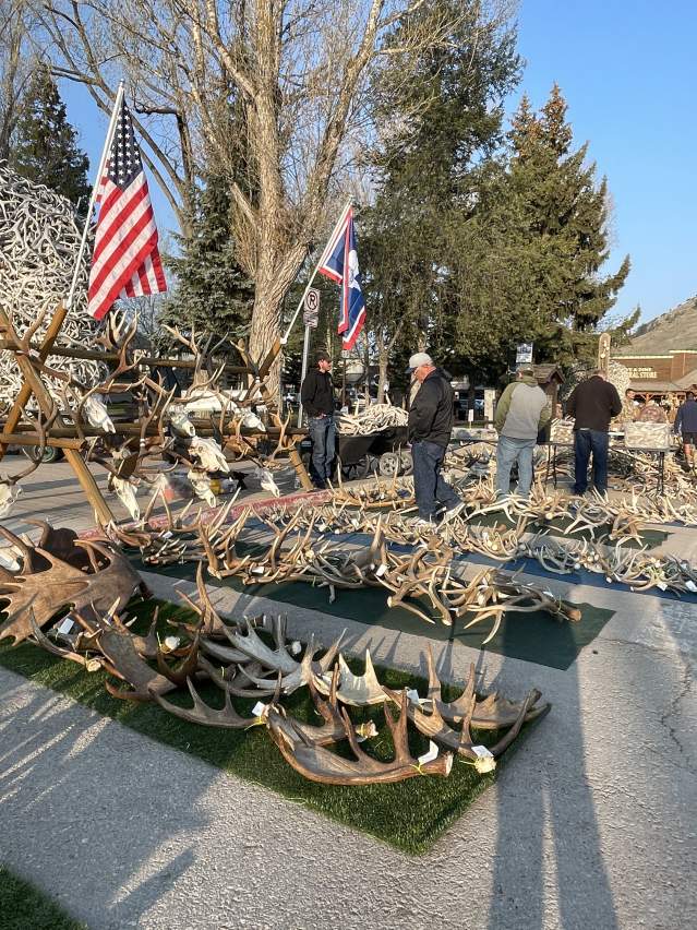 Elkfest Weekend Antlers