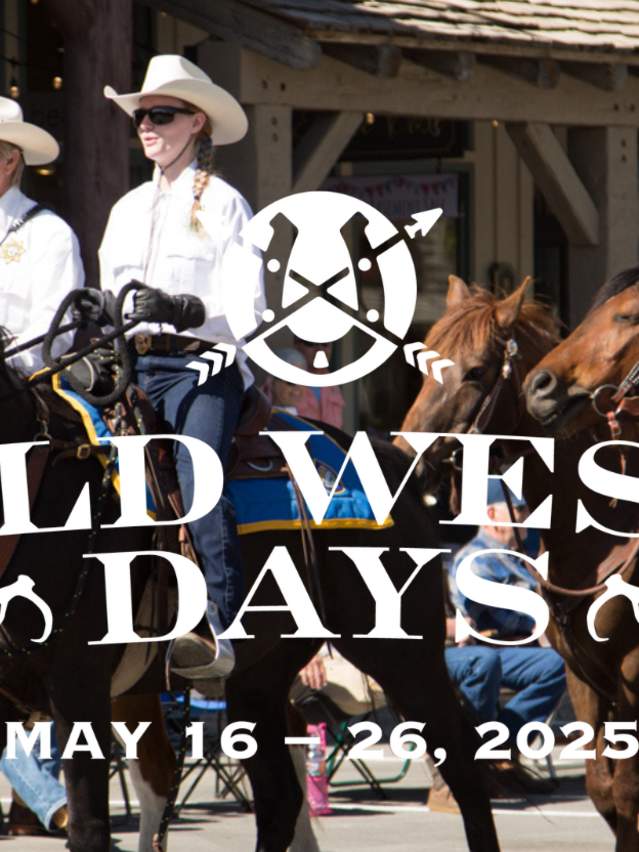 OWD Schedule Web Banner