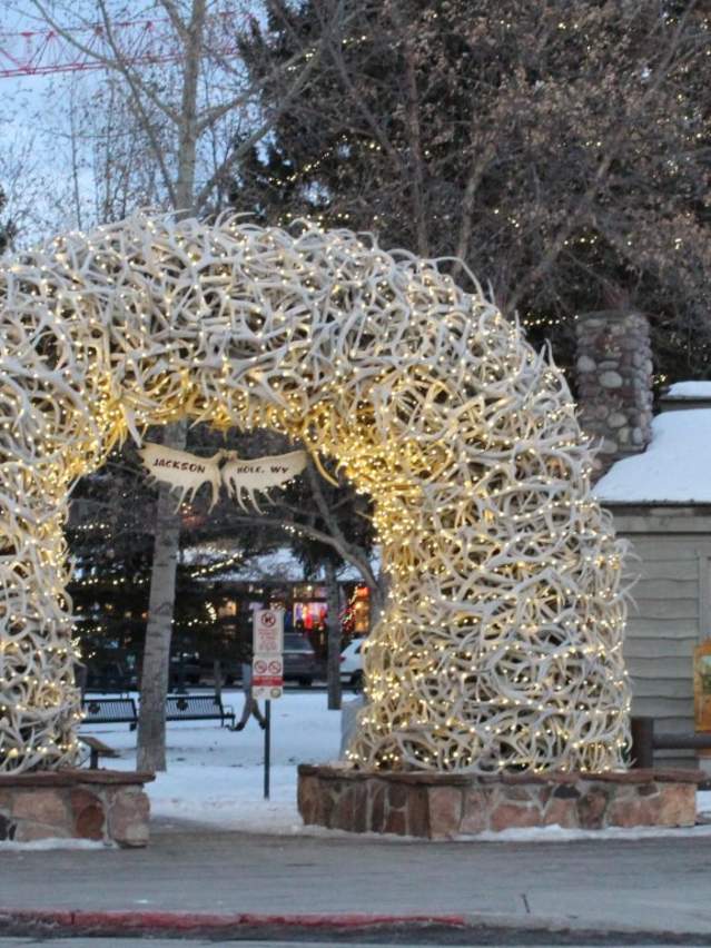 Antler Arch with holiday lights