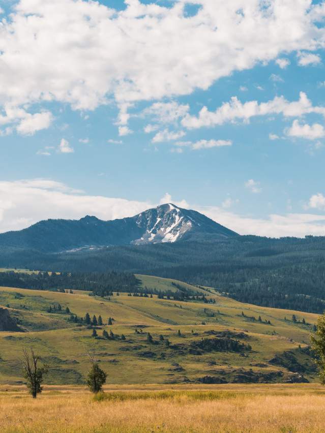 Elk Refuge