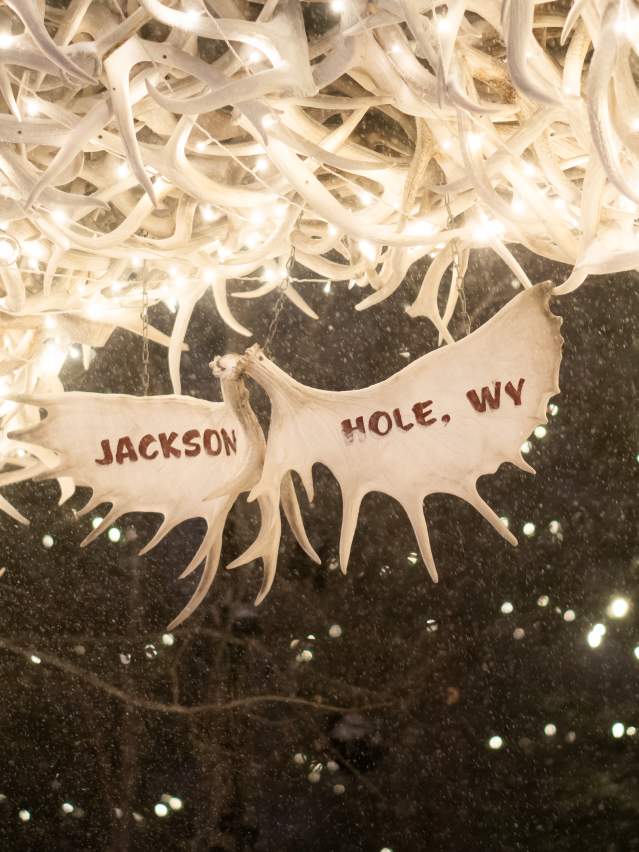 Antler Arch Sign Winter