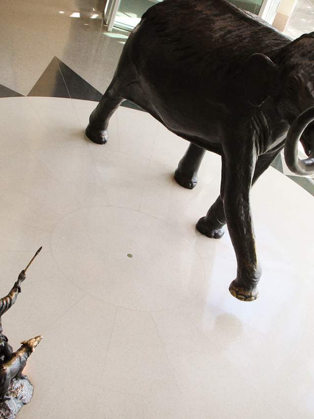 DTN - Media Kit - HI