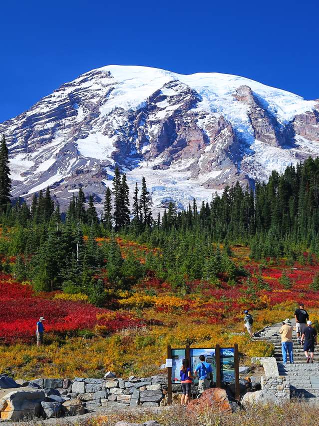 Paradise at Mount Rainier in fall