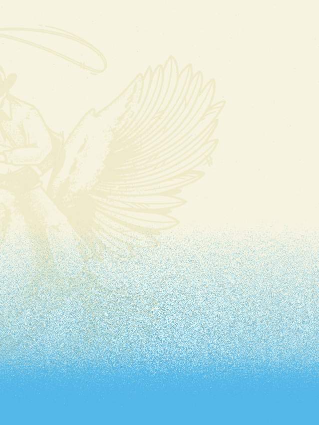 Cowboy riding chicken Tanglefoot illustration