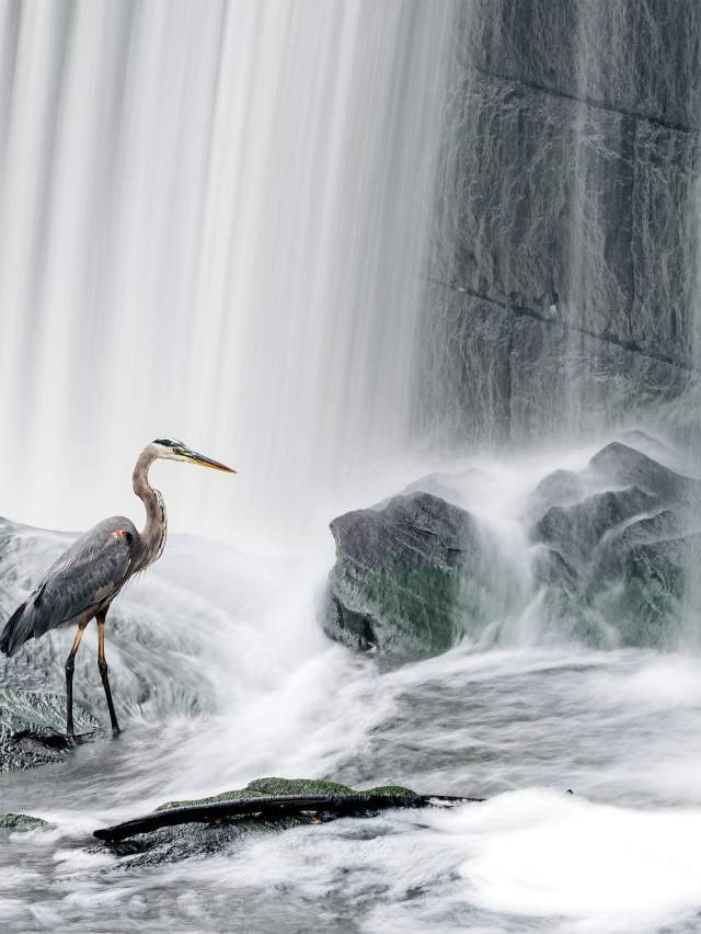Herin Falls Lincoln Photo AJ Collette