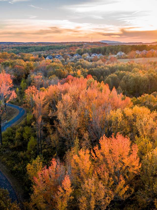 A beautiful sunset peeks through fall tress as a paved path weaves through colorful foliage in Chaffee Crossing.