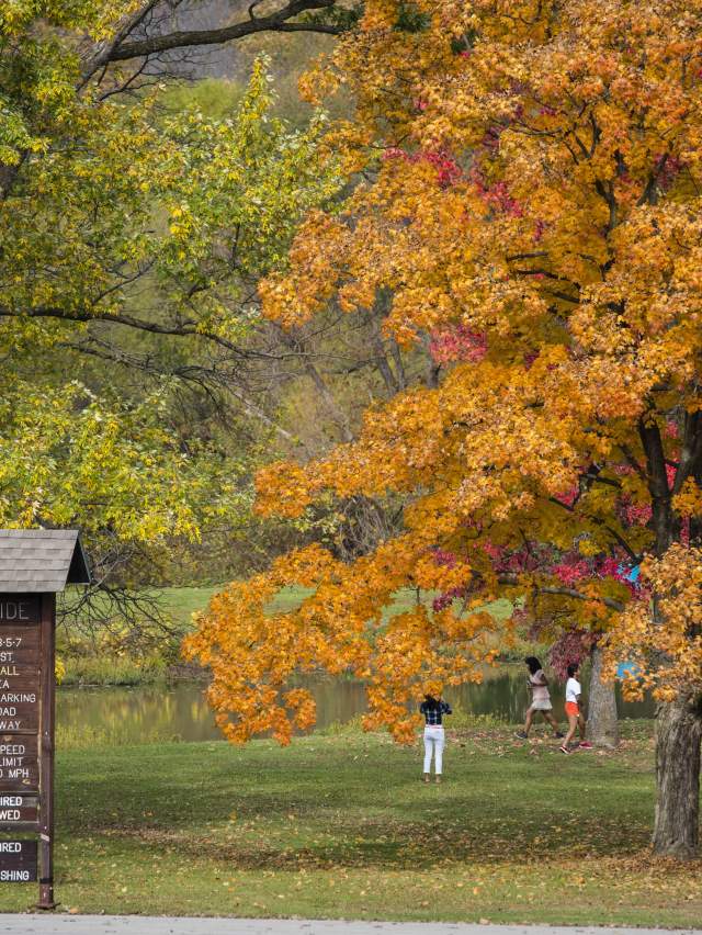 Wyandotte county lake