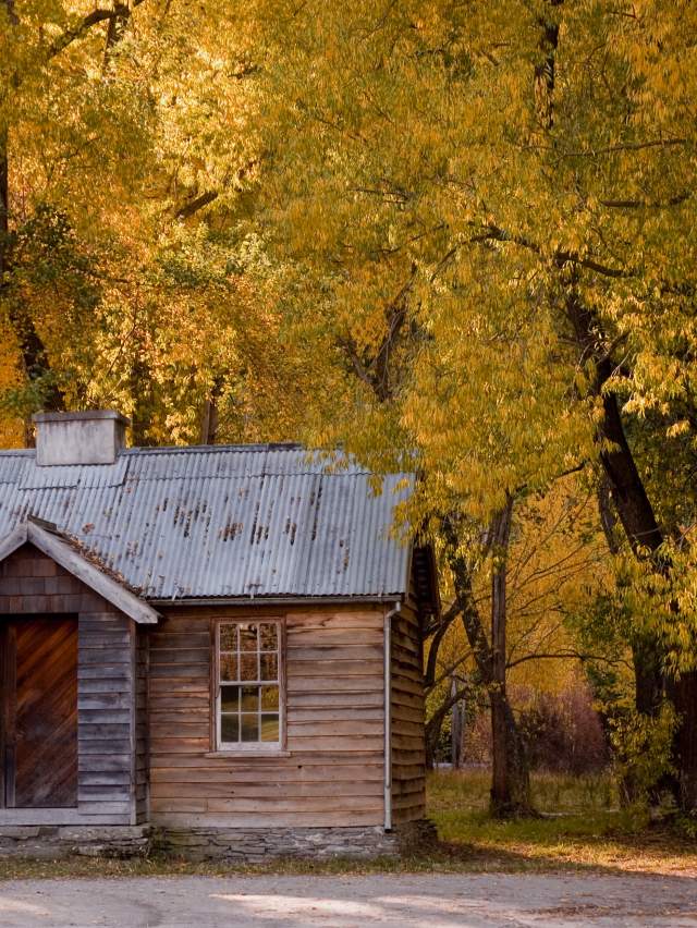 Arrowtown hut in Autumn