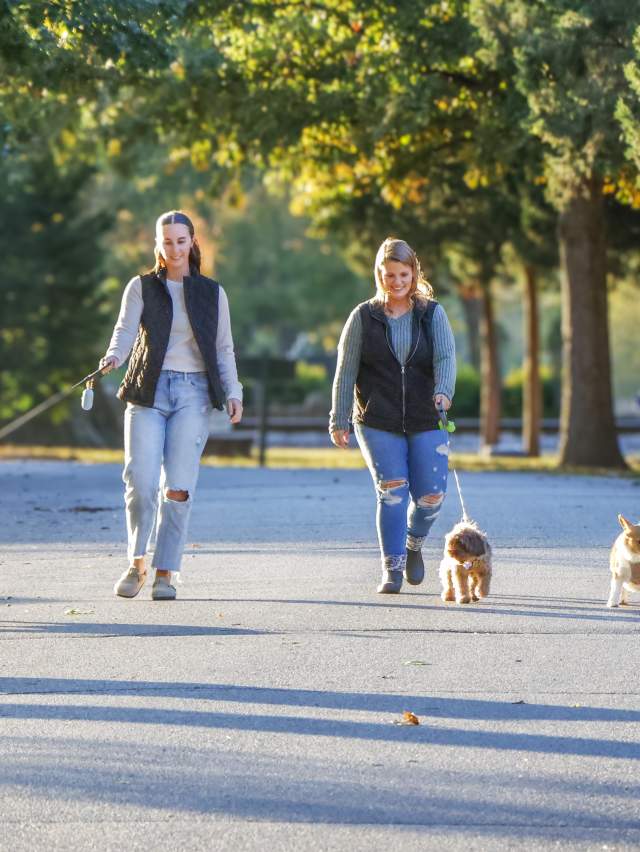 Dog walking at Deming Park