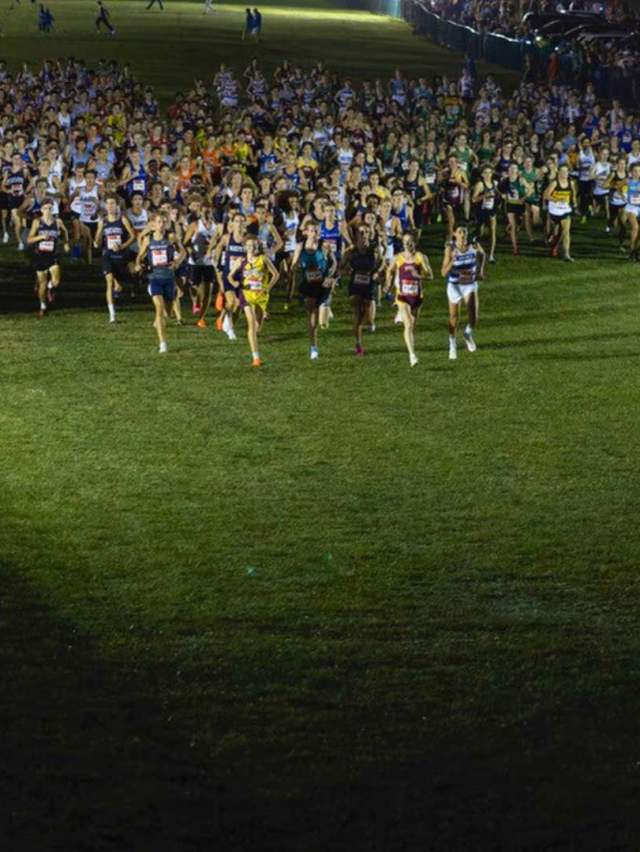 Lavern Gibson Field of Runner Night