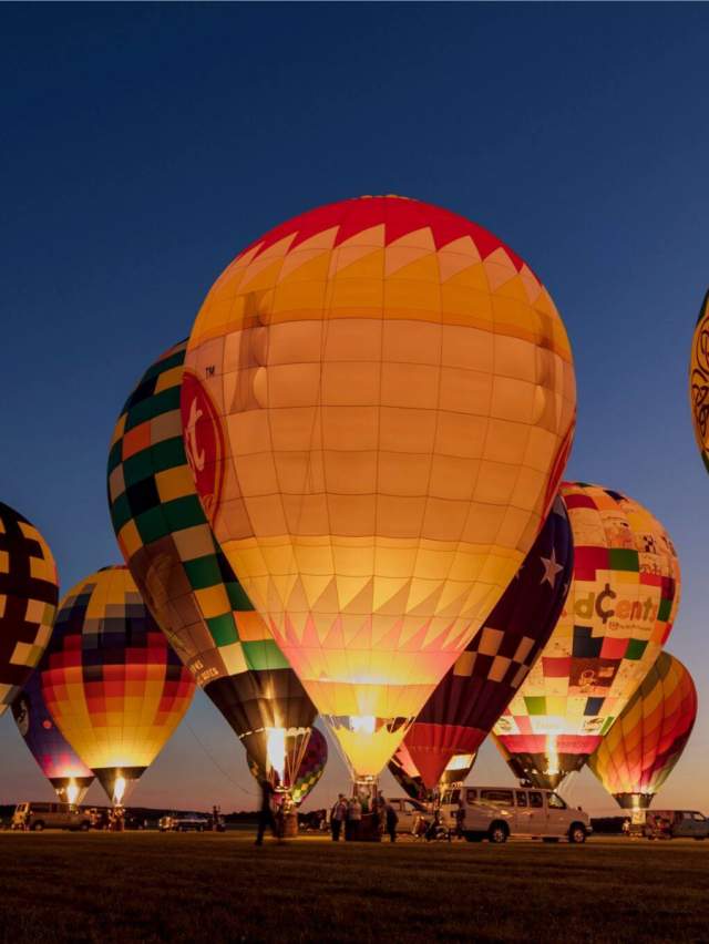 Festivals & Outdoor Concerts