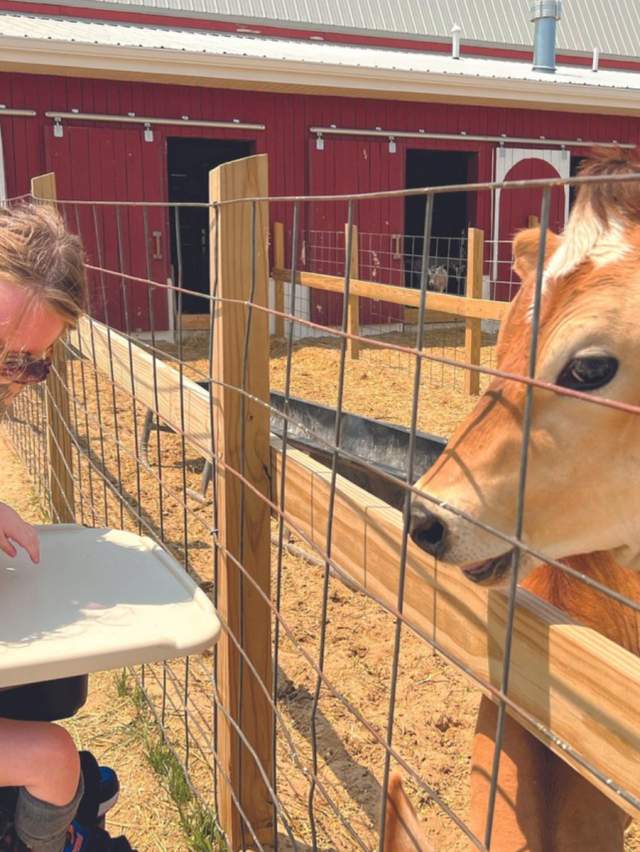 Animal Encounters Homepage