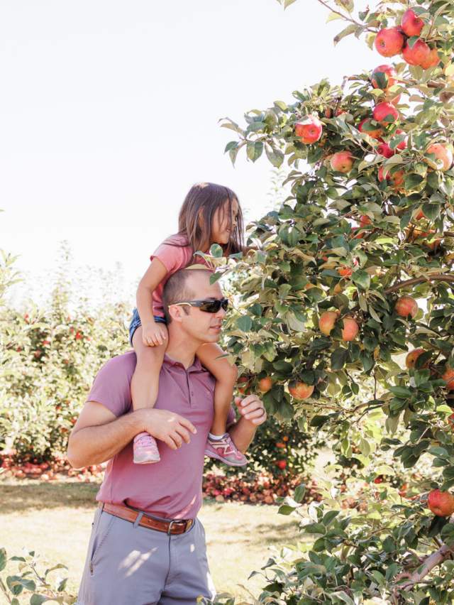 Celebrate the Harvest