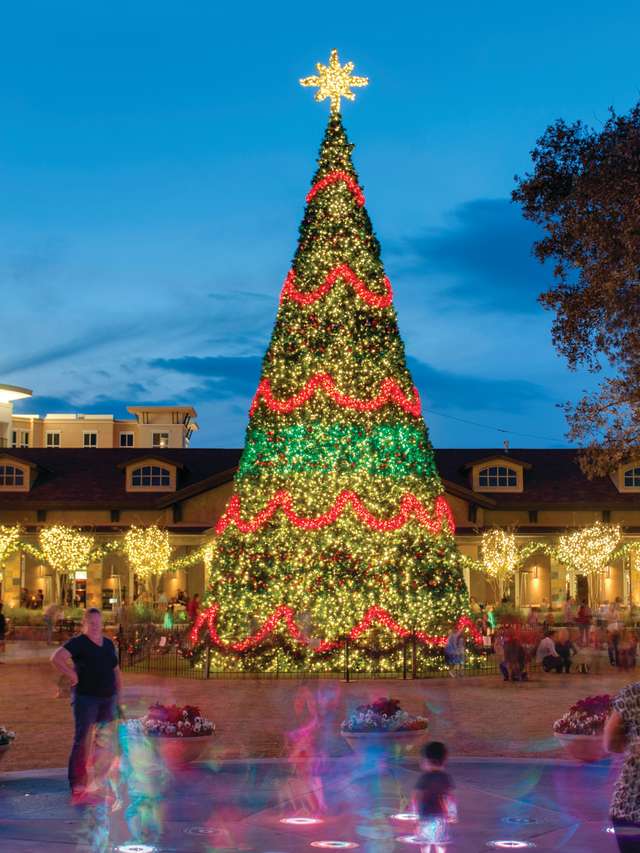 Market Street in Lights  The Official Guide to Stay, Shop & Dine in The  Woodlands, Texas