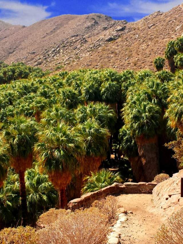 Indian Canyons