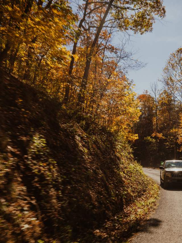 A truck drives along a paved road during a sunny day with fall foliage along the roadside.