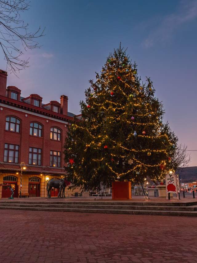 A large live Christmas Tree is decorated in front of a large historic train station.