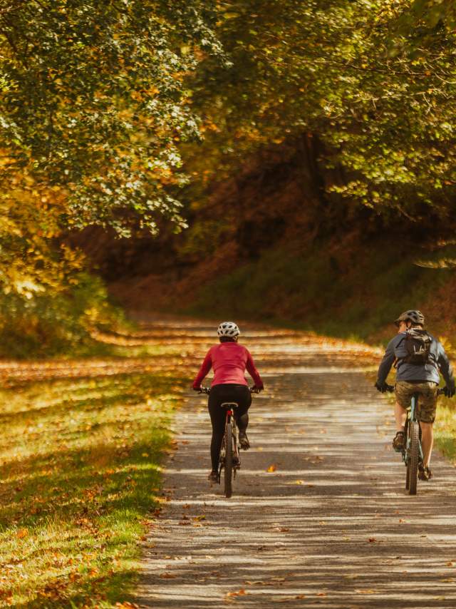 A couple ride bike on a gravel path surrounded trees with fall colored leaves of yellows, oranges, and reds.