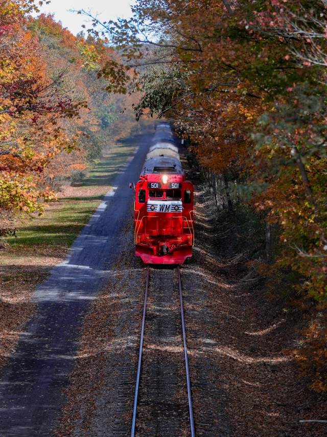 A diesel train moves passenger cars along a rail line surrounded by fall leaves.