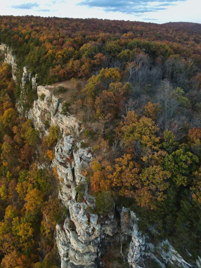 Fall on Wills Mountain-Cumberland MD