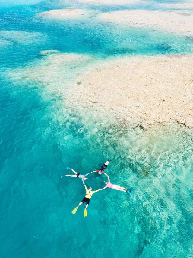 Shot from overhead, four snorkellers hold hands as they look into the water beneath them. They are alongside a coral outcrop