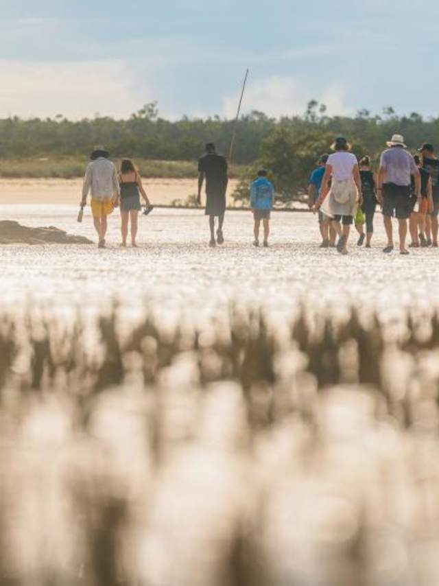 Borrgoron Coast to Creek Tour with Terry Hunter