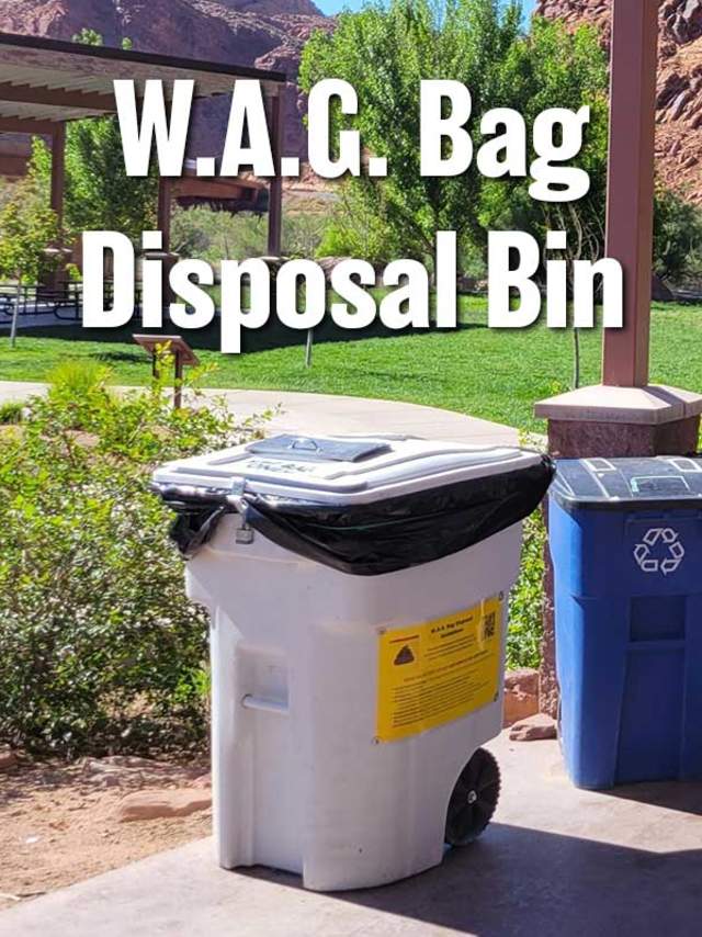 Bin