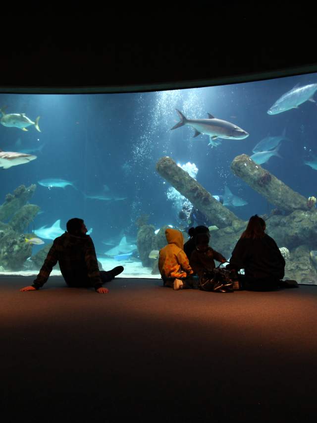 Albuquerque Aquarium