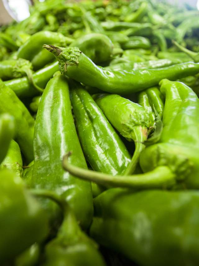 A fresh bushel of the iconic New Mexico Hatch green chili.