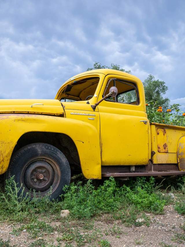 An old New Mexico truck becomes a planter for marigolds