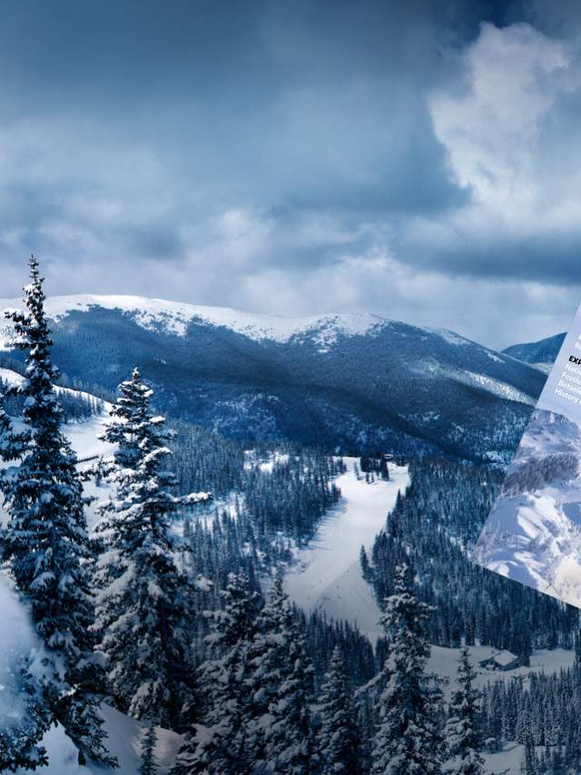 Promotional banner for "New Mexico True" featuring a person snowboarding on a snowy mountain slope and a brochure with an image of a skier, set against a scenic winter landscape.