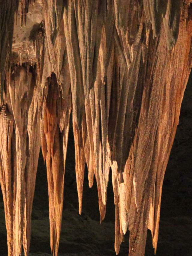 Carlsbad Caverns Stalactite