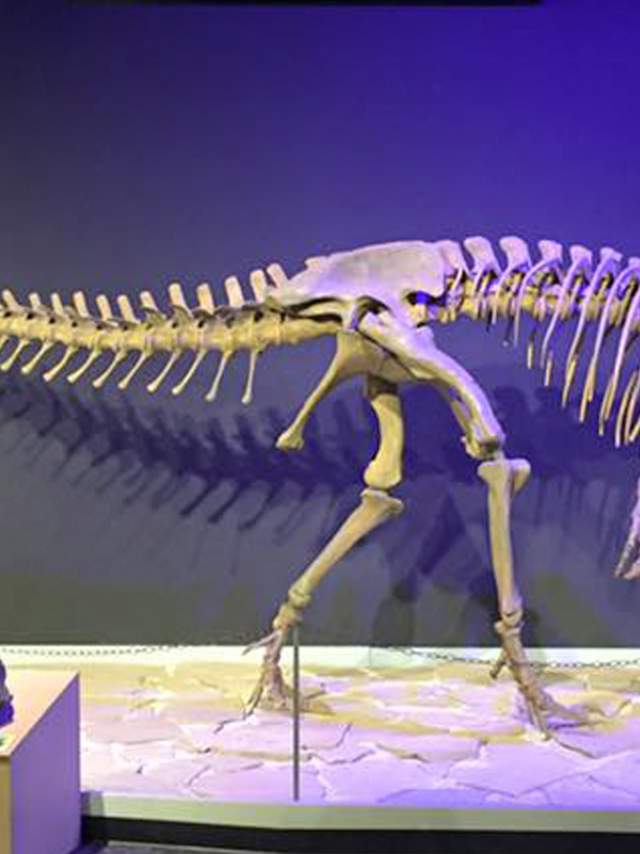 Mesalands Dinosaur Museum
