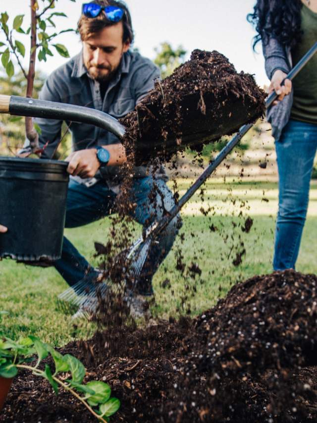 People planting trees