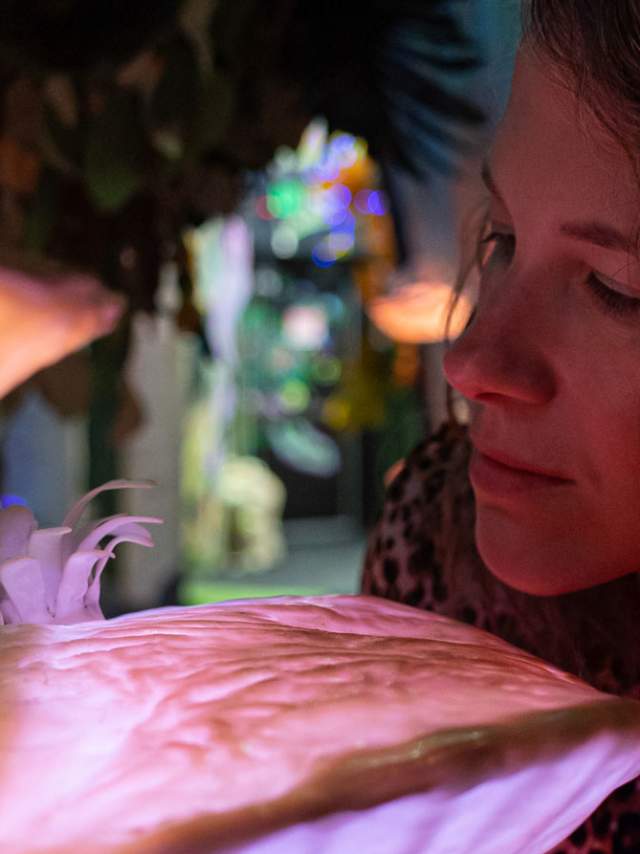 Woman examing a Meow Wolf experience