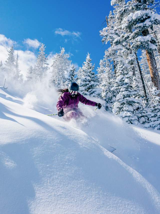 ski instructor Stevie Lund carves through a snow-covered forest, spraying powder as she makes a turn