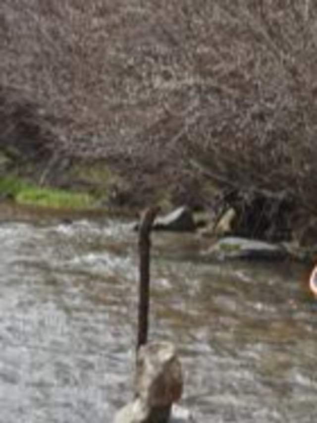 FY24 NMCB Town of Red River Cleanup