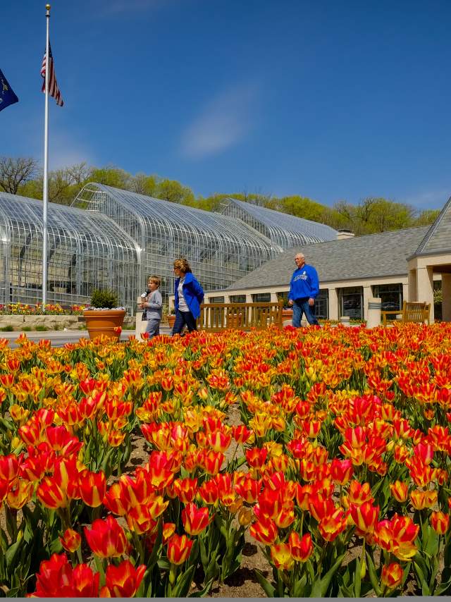 Laurtizen Gardens