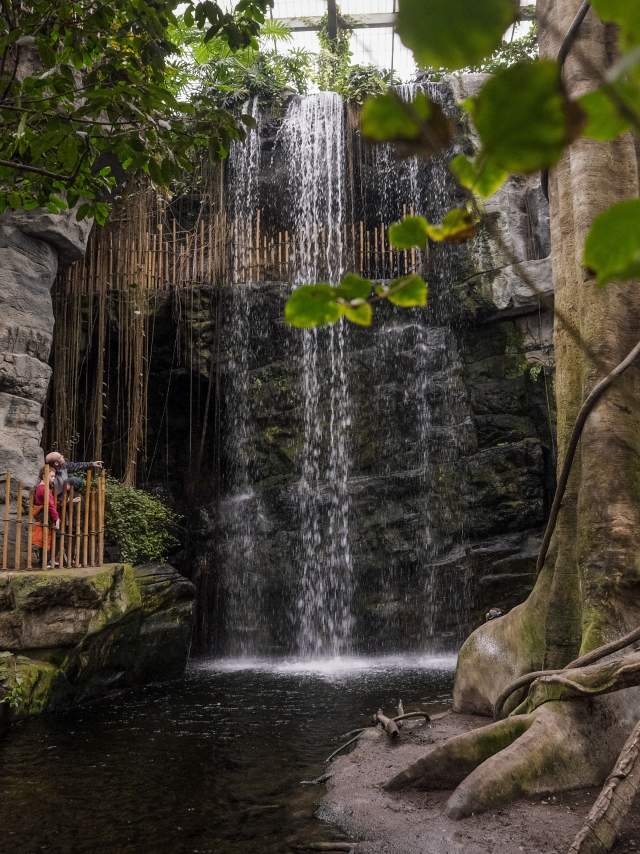 Omaha's Henry Doorly Zoo and Aquarium